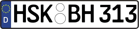 HSK-BH313