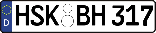 HSK-BH317