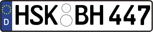 HSK-BH447
