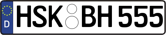 HSK-BH555