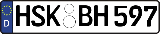 HSK-BH597