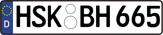 HSK-BH665