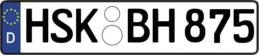 HSK-BH875