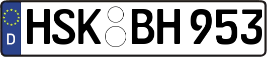 HSK-BH953
