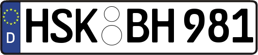 HSK-BH981