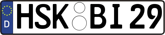 HSK-BI29