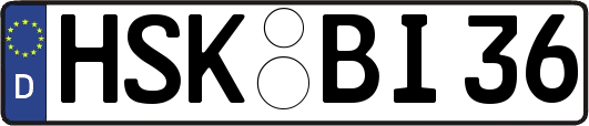HSK-BI36