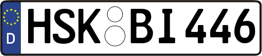 HSK-BI446