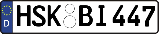 HSK-BI447
