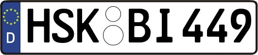 HSK-BI449