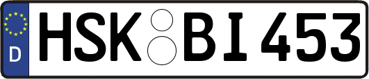 HSK-BI453