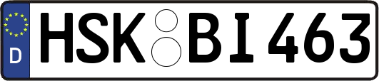 HSK-BI463