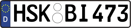 HSK-BI473