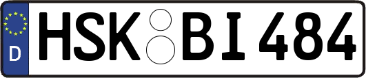 HSK-BI484