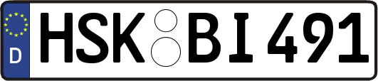HSK-BI491