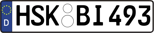 HSK-BI493