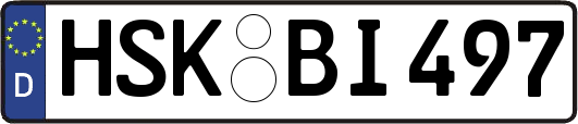 HSK-BI497