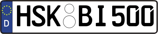 HSK-BI500