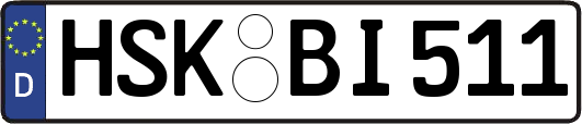 HSK-BI511