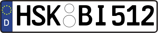 HSK-BI512