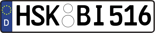 HSK-BI516