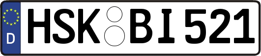 HSK-BI521