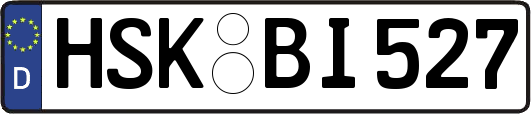 HSK-BI527