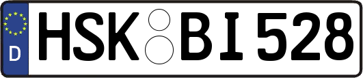 HSK-BI528