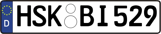 HSK-BI529