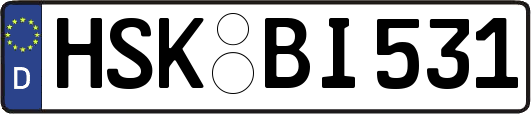 HSK-BI531