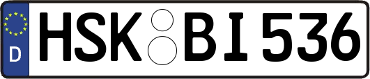 HSK-BI536