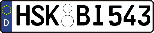 HSK-BI543