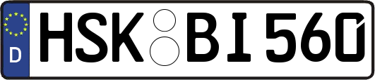 HSK-BI560