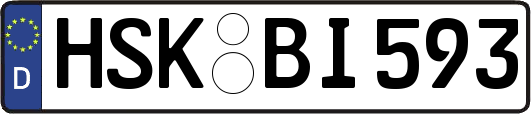 HSK-BI593