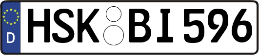 HSK-BI596