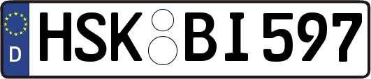 HSK-BI597