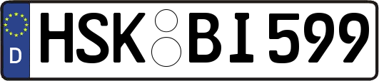HSK-BI599