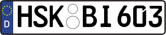 HSK-BI603