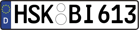 HSK-BI613