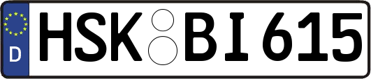 HSK-BI615