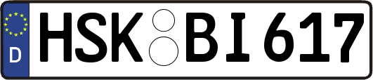 HSK-BI617