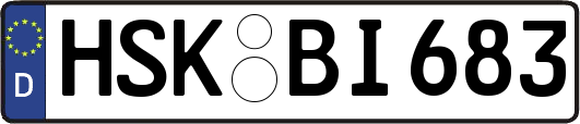 HSK-BI683