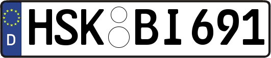 HSK-BI691