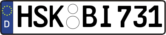 HSK-BI731
