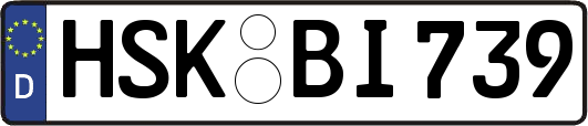 HSK-BI739