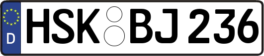 HSK-BJ236