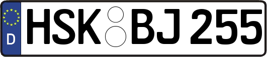 HSK-BJ255