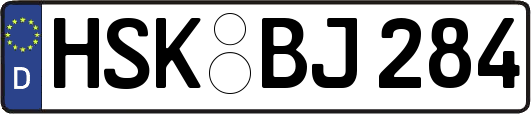 HSK-BJ284