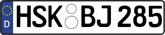 HSK-BJ285