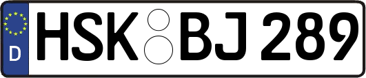 HSK-BJ289